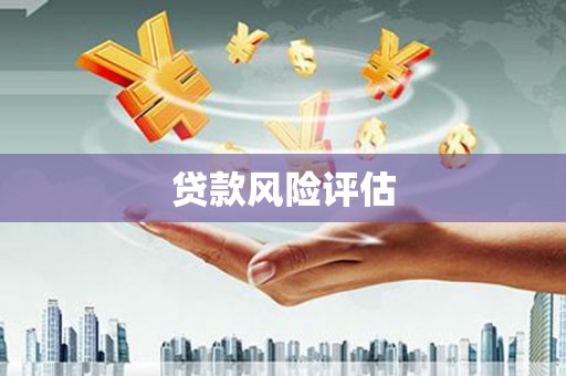 自贡贷款风险评估