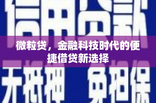 自贡微粒贷，金融科技时代的便捷借贷新选择