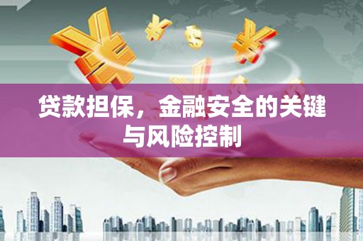 自贡贷款担保，金融安全的关键与风险控制