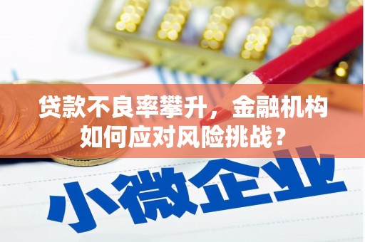 自贡贷款不良率攀升，金融机构如何应对风险挑战？