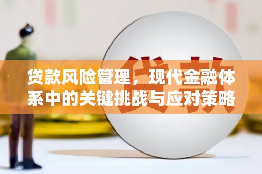自贡贷款风险管理，现代金融体系中的关键挑战与应对策略