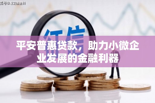 自贡平安普惠贷款，助力小微企业发展的金融利器