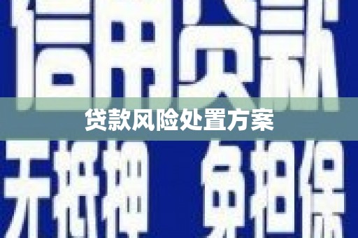 自贡贷款风险处置方案