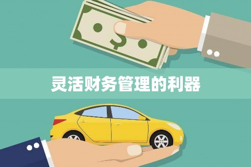 自贡灵活财务管理的利器
