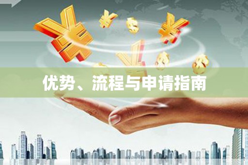 自贡优势、流程与申请指南
