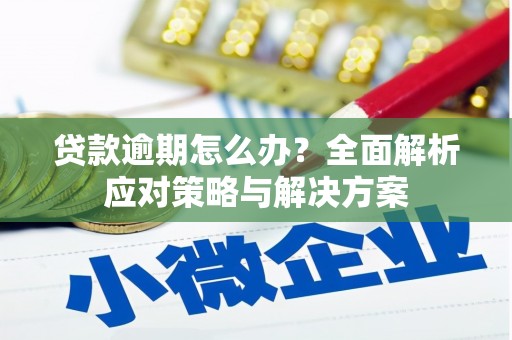 自贡贷款逾期怎么办？全面解析应对策略与解决方案