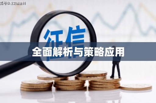 自贡全面解析与策略应用