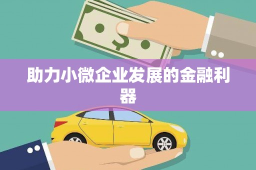 自贡助力小微企业发展的金融利器