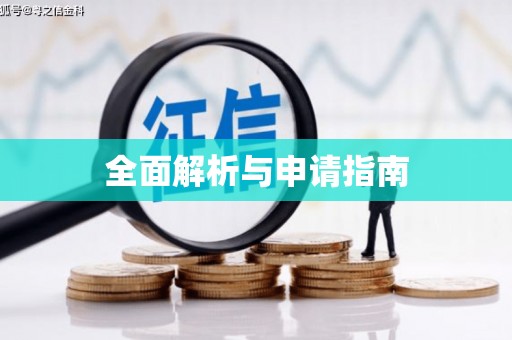 自贡全面解析与申请指南