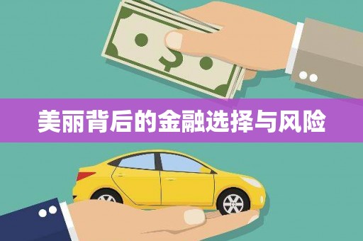 自贡美丽背后的金融选择与风险