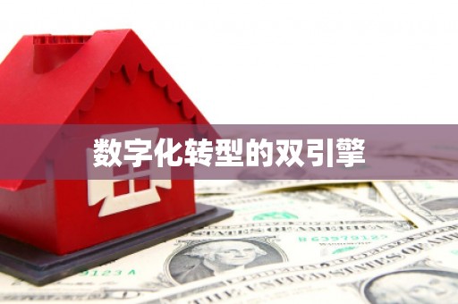 自贡数字化转型的双引擎
