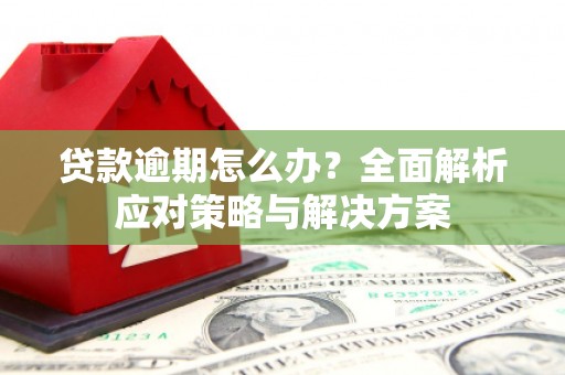 自贡贷款逾期怎么办？全面解析应对策略与解决方案