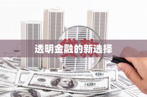 自贡透明金融的新选择
