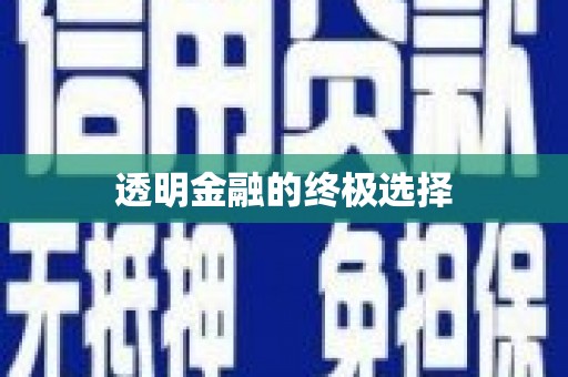 自贡透明金融的终极选择