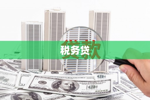 自贡税务贷