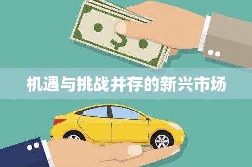 自贡机遇与挑战并存的新兴市场