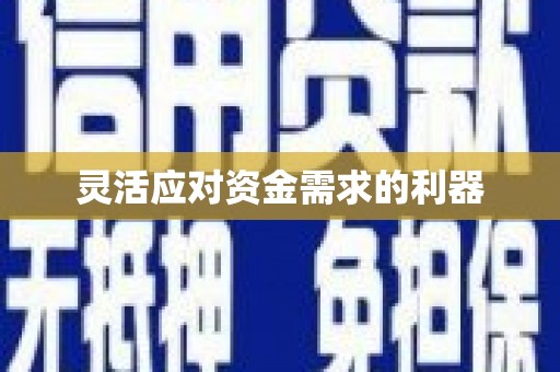 自贡灵活应对资金需求的利器