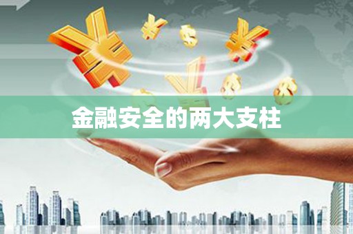 自贡金融安全的两大支柱