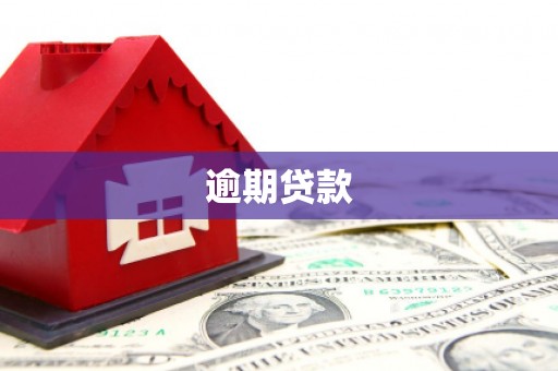 自贡逾期贷款