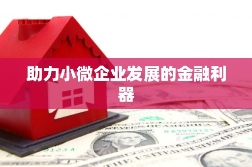 自贡助力小微企业发展的金融利器