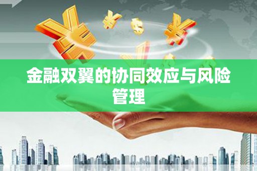 自贡金融双翼的协同效应与风险管理