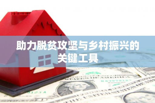 自贡助力脱贫攻坚与乡村振兴的关键工具