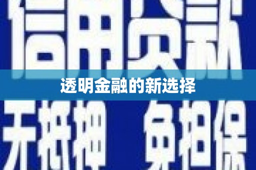 自贡透明金融的新选择