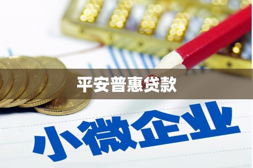 自贡平安普惠贷款