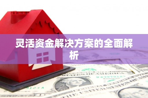 自贡灵活资金解决方案的全面解析