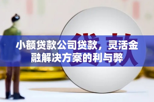 自贡小额贷款公司贷款，灵活金融解决方案的利与弊