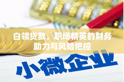 自贡白领贷款，职场精英的财务助力与风险把控