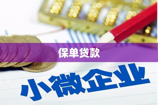 自贡保单贷款